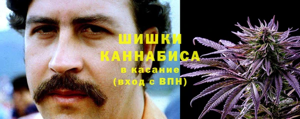 соль ск Алзамай