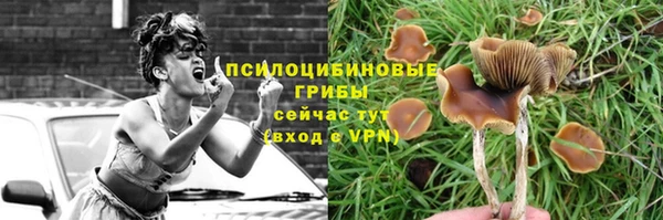 соль ск Алзамай