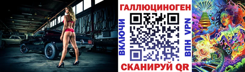 Псилоцибиновые грибы Psilocybe  Каргат 